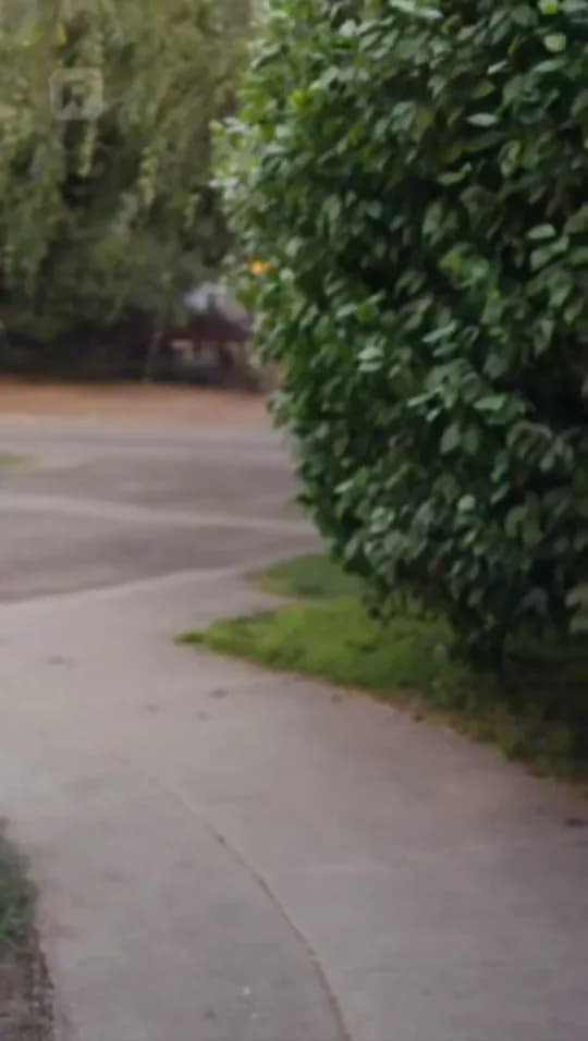 Parte 14 de Meu Ex-Marido Bombeiro Arde em Arrependimento